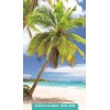 Beaches: 2025-2026 28-Month Inspirational Pocket Planner