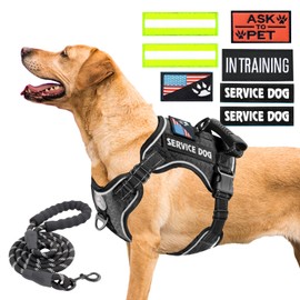 Service Dog Vest, Service Dog in Training Vest, Dog Harness for Large Dogs No Pull with Handle Adjustable Soft Padded No Choke Pet Harness with Leash & 7 Pcs Patches Set, Black, XL