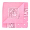 Laciteinterdite Set of 3 Paisley Bandanas for Men and Women,