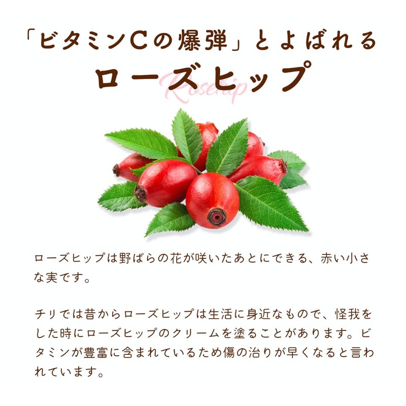 Coesam Organic Rosehip Powder 200g