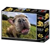 Super 3D Adorable Pug 500 pcs- Pugsley