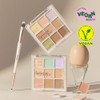 DASIQUE Pro Concealer Palette 2 Options To Choose - [Original