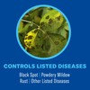 BioAdvanced 3-in-1 Insect, Disease & Plant Mite Control, Ready-to-Use, 24