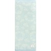 Hayashi FO202901 Face Towel, Approx. 13.4 x 31.5 inches (34