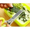 Herb Scissors with 5 Sharp Blades Kitchen Shears for Shallot