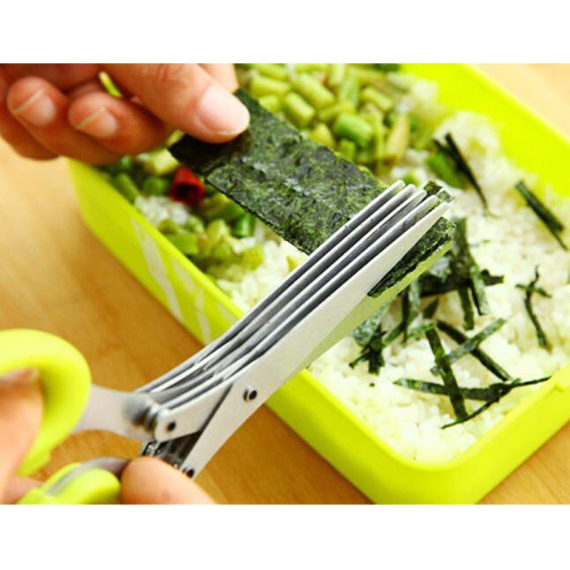 Herb Scissors with 5 Sharp Blades Kitchen Shears for Shallot