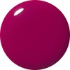 KOKOIST E-163 Color Gel 2.5g Bordeaux Grape UV/LED Compatible