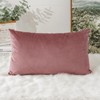 Artscope Luxury Velvet Cushion Covers Super Soft Decorative Rectangle Throw