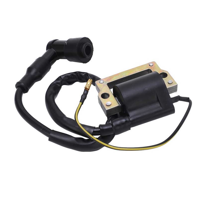 1 Pair Ignition Coil Low Emissions and Fuel Consumption Heat