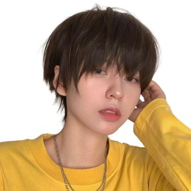 EMMOR Men's Premium Wig, Professional Stylist-Approved, Natural, Cool, Image Change, Harajuku, Free Size, Popular, Color: Coffee Brown