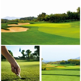 3 Pcs Golf Tools Divot Tool Divot Repair Tool Ball Markers Turf Aluminum Handle Stainless Steel