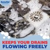 KennelSol Bio-Drain Cleaner and Pet Odor Remover | Eliminates Pet