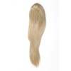 WIG ME UP - WK06-22 Hairpiece Voluminous Smooth Falling Braid