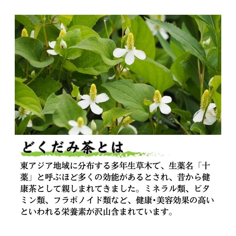 Takayama Tea Garden Dokudami Tea 0.1 oz (3 g) x