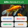 Ohisamedaka Aquarium Fish Chlorella Tablet, Goldfish, Bait, Preco, Beeshrimp (0.9