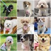 UNA MASCOTA Pechera Arnés para Perros pequeños, Arnés para Perro