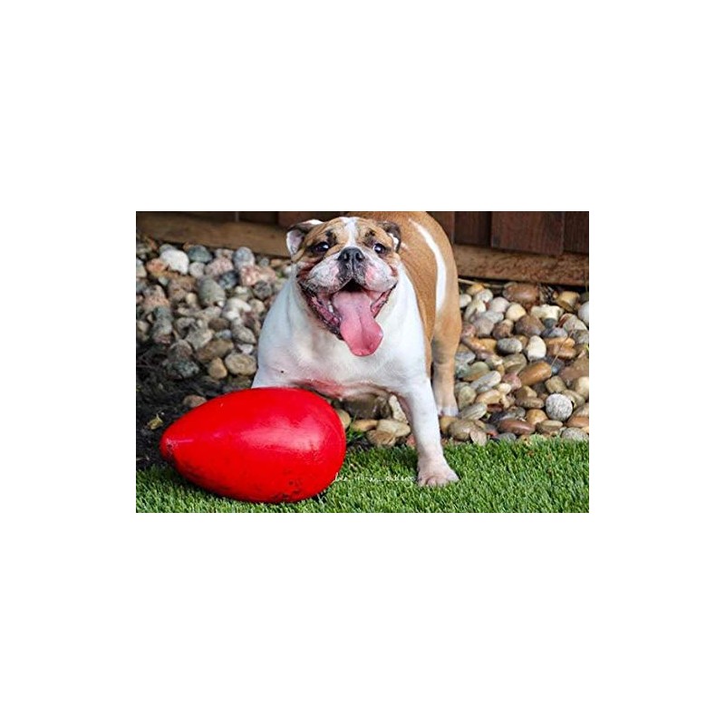 Jolly Pets Jolly Egg Dog Toy, 12 Inches/Large, Red