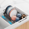 iSPECLE Expandable Dish Drying Rack for Large Sink - Adjustable