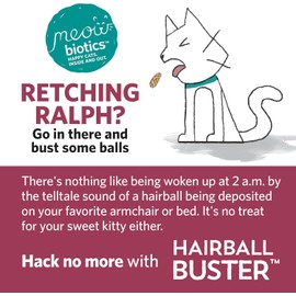 Fidobiotics Hairball Buster, Cat Hairball Aid, with Probiotics, Smoked Fish Chowdah, 2 Billion CFUs, 0.5 oz (15 g)