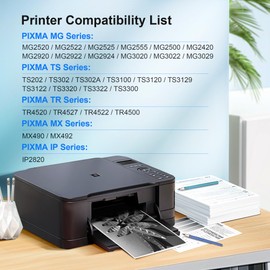 245XL Ink Cartridge High Capacity for Canon 245XL Black Ink, 245 XL Black Ink Cartridge Compatible with Canon Pixma TS202/MG2522/MX490/MX492/TR4520/MG2525/TS3322/TS3320/TS302/MG2520/TR4527 (2 Pack)