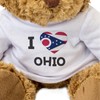 Big Red Egg I LOVE OHIO FLAG - Teddy Bear