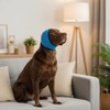 No Flap Ear Wraps for Dogs, Dog Ear Muffs Noise