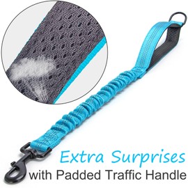 Mycicy Bungee Dog Leash Extender, 21" Shock Absorbing Leash Extension with Traffic Handle for Dogs, Works with Any Lead, Reflective & 6 Colors- Teal