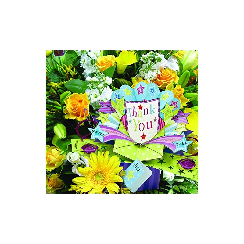 Second Nature 90th Birthday Pop Up Greeting Card - POP166