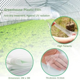 CYH 2 m x 3 m Extra Thick Polyethylene Film, Transparent Greenhouse Film, Tear-Resistant Garden Film Made of Polyethylene, Plastic Film, Transparent, Strong for Gardening, Tomato House, Greenhouse