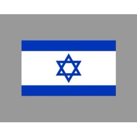 Texas Hart Designs Flag of Israel Fridge Magnet