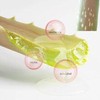 BRING GREEN Aloe 97% /Pink Aloe 96% Soothing Gel 300ml*2ea,