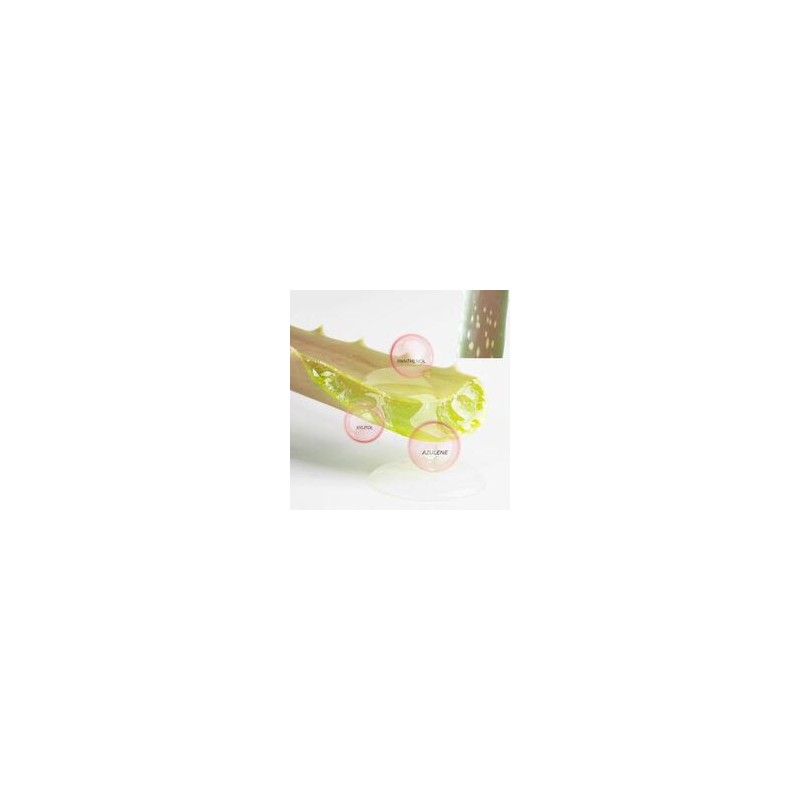 BRING GREEN Aloe 97% /Pink Aloe 96% Soothing Gel 300ml*2ea,