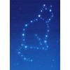 Cat Constellation Pet Sympathy Card