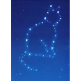 Cat Constellation Pet Sympathy Card