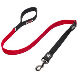 Franklin Pet Supply Nylon Dog Leash — 4-Foot Dog Leash with Shok-Tek Bungee — Helps Prevent Jumping and Pulling — Bright-Colored Nylon Dog Leash for Night Visibility