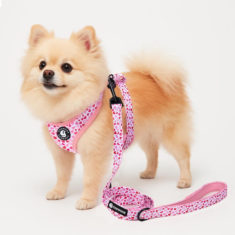 Dog Harness and Leash Set, Adjustable Dog Harness, Dog Leash,