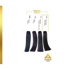 Tinte en crema Profesional ALTERNATIVE CARE - Tintes HAIR SOLUTION GOLD con su Oxidante en Crema. Coloración Permanente para el Cabello de USO PROFESIONAL. Tinte 90 g. + Oxidante 90 ml. (Fórmula 1+1). (1.0 NEGRO NEGRO)