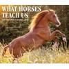 What Horses Teach Us 2026 Box Calendar