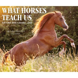What Horses Teach Us 2026 Box Calendar