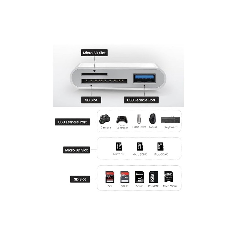 Apple - Lector de tarjetas USB C a SD para