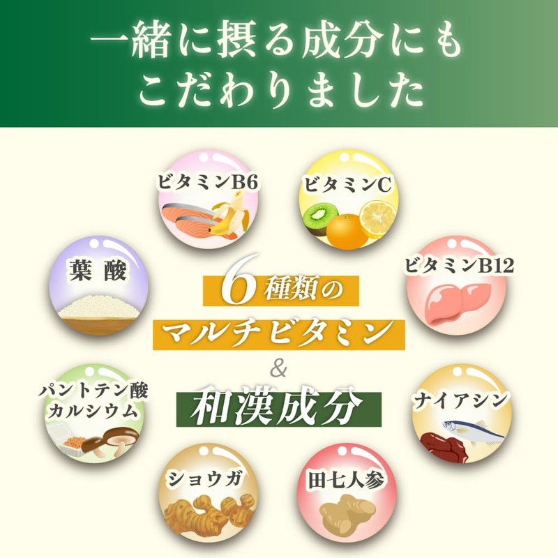 フェリチンセレクト 鉄 10mg フェリチン鉄 ヘム鉄 葉酸 ビタミンC サプリメント 漢方生薬研究所 (2袋)