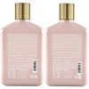 Alfaparf Lisse Design Maintenance Shampoo & Conditioner DUO 8.45oz each