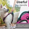 Eagloo Dog Harness No Pull, Walking Pet Harness with 2