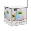 Room2room Succulent Diffuser