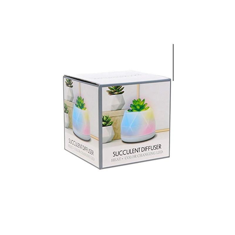 Room2room Succulent Diffuser
