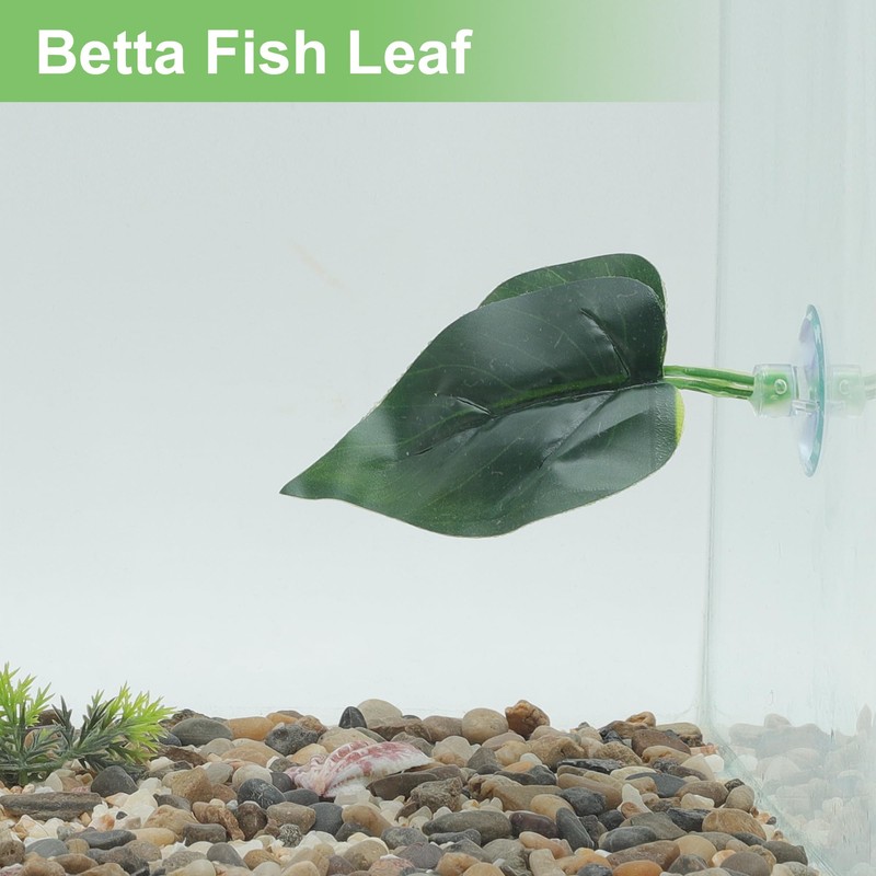 CAPASTEC Betta Fish Leaf, Natural Habitat Simulation for Betta Spawnings