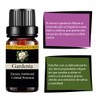 Esencia De Gardenia Premium