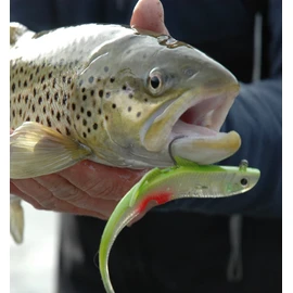 Pro Kit - 6 Lure Starter Set -Pro's Pick for Success