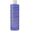 Lotta Body Setting Lotion, 15 Ounce
