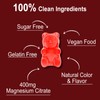 2 Pack Magnesium Citrate Gummies 400MG, High Absorption Magnesium Gummies